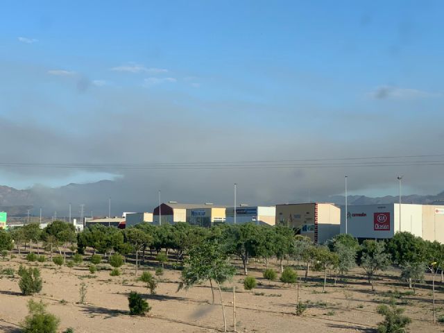 Ecologistas en Acción critica que el decreto-ley sobre quemas agrícolas de la Comunidad Autónoma no contempla la protección de la salud pública - 3, Foto 3