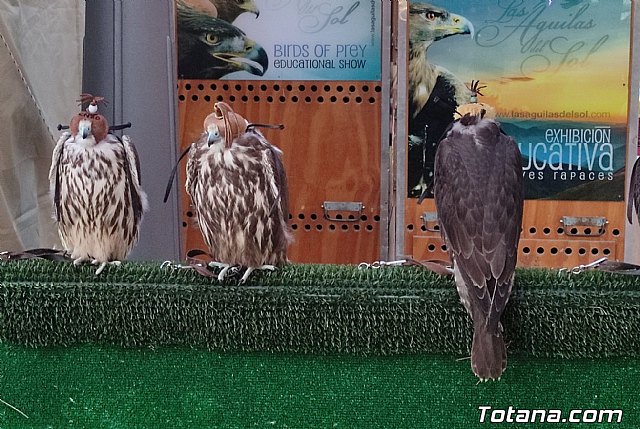 El cuento de la política animalista. Prevaricando en el trono de hierro, Foto 1