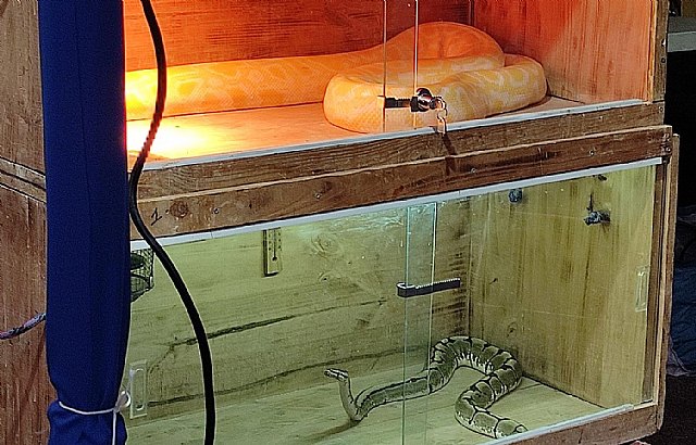 El cuento de la política animalista. Prevaricando en el trono de hierro, Foto 2