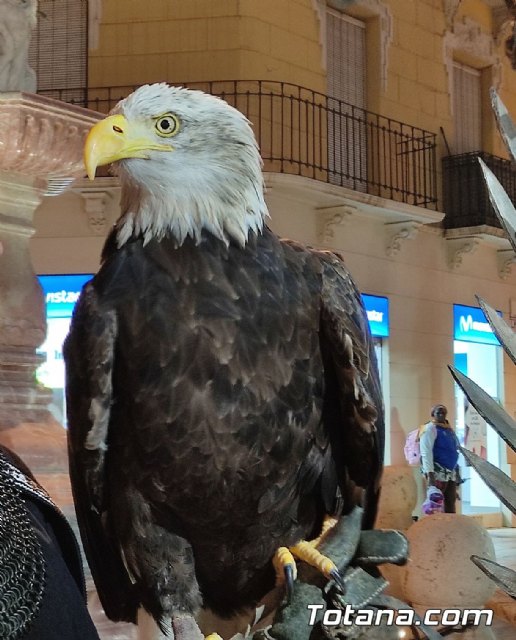 El cuento de la política animalista. Prevaricando en el trono de hierro, Foto 3