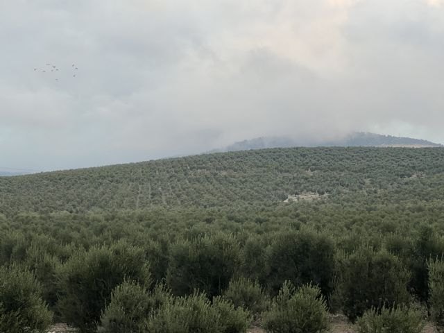 El nuevo mapa de los cultivos en España - 1, Foto 1