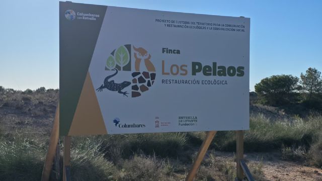 La Finca Municipal Los Pelaos refuerza su papel como referente ambiental con nuevas actividades de restauración y sensibilización - 5, Foto 5