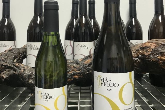 Agrónomos elabora por primera vez una edición limitada de vino dulce de Merseguera - 1, Foto 1