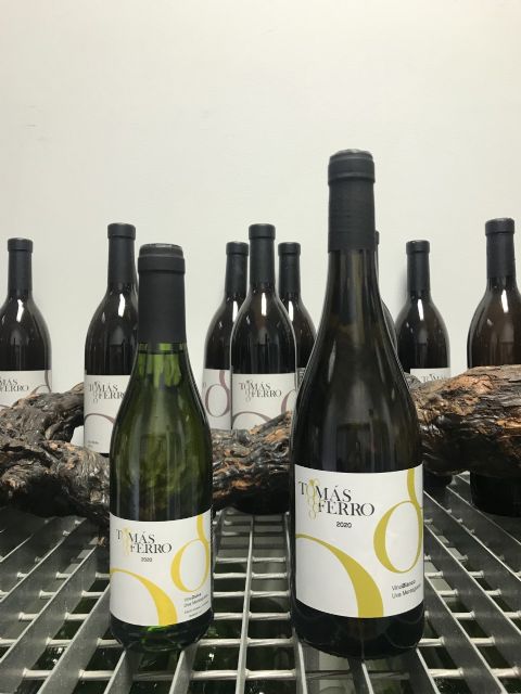 Agrónomos elabora por primera vez una edición limitada de vino dulce de Merseguera - 2, Foto 2
