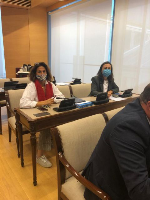 El Congreso, con el voto en contra de PSOE y Podemos, pide reforzar las fronteras para impedir la entrada de partidas contaminadas que dañan al sector de los cítricos - 1, Foto 1