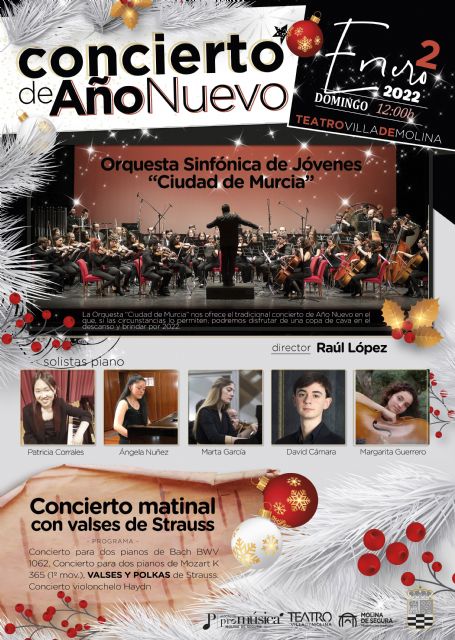 La Orquesta Sinfónica de Jóvenes Ciudad de Murcia ofrece el Concierto de Año Nuevo el domingo 2 de enero en el Teatro Villa de Molina - 1, Foto 1