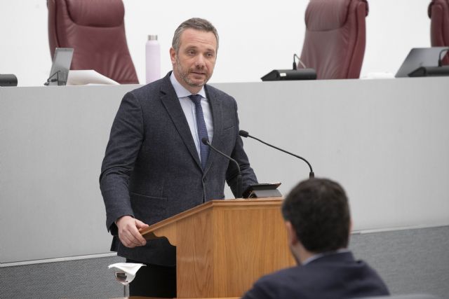 Segado: Estos presupuestos van a ser el escudo que protejan a los ciudadanos de las políticas socialistas y populistas de Pedro Sánchez - 1, Foto 1