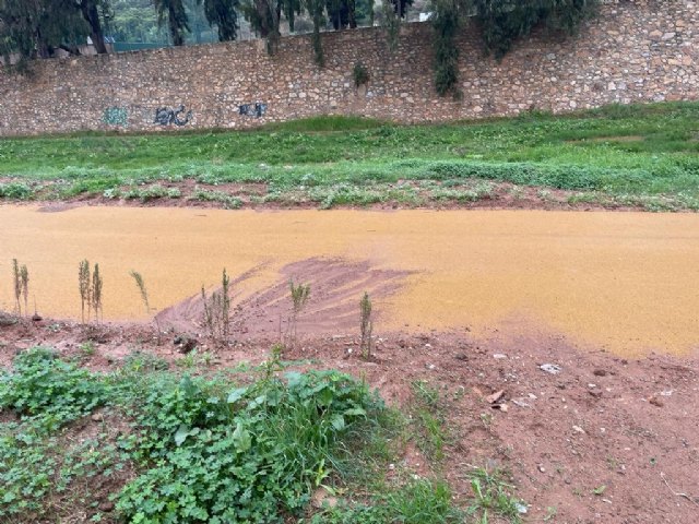 Los colectivos a favor de la movilidad sostenible activa piden que se convoque con carácter de urgencia la mesa de la movilidad - 2, Foto 2