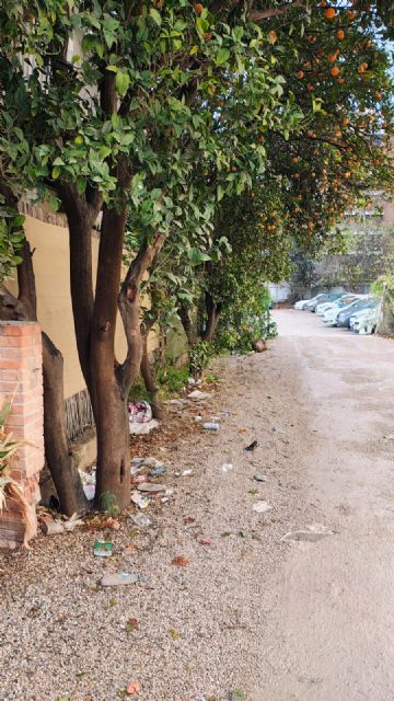 Un solo barrendero para todo el Barrio, tres para el resto de la ciudad hasta San Antonio, además de la máquina barredora rota - 5, Foto 5