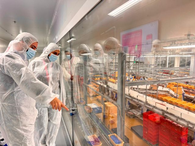 La Región de Murcia es la cuarta comunidad más exportadora de carne y elaborados de porcino, con más de 121.000 toneladas en 2024 - 2, Foto 2