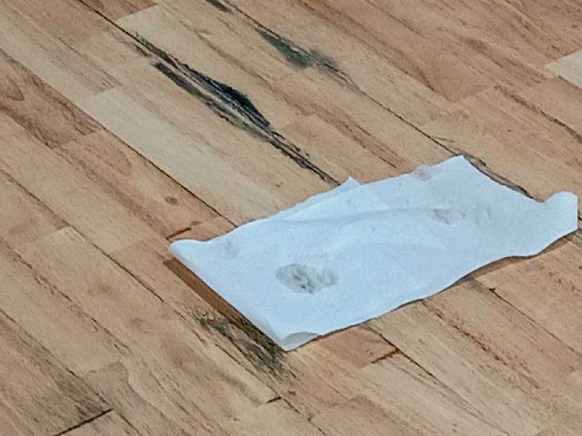 IU-Verdes denuncia la chapuza realizada en el pabellón de deportes de Beniel y exige responsabilidades a la alcaldesa Mari Carmen Morales - 4, Foto 4