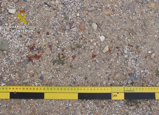 La Guardia Civil detiene al presunto autor de una tentativa de homicidio en La Hoya-Lorca - 1, Foto 1