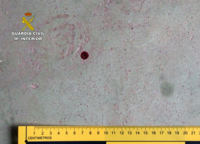 La Guardia Civil detiene al presunto autor de una tentativa de homicidio en La Hoya-Lorca - 2, Foto 2