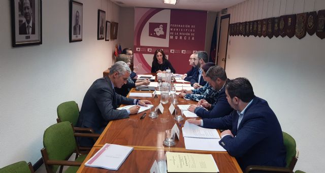 Se reúne la Comisión Ejecutiva de la Federación de Municipios de la Región de Murcia - 1, Foto 1