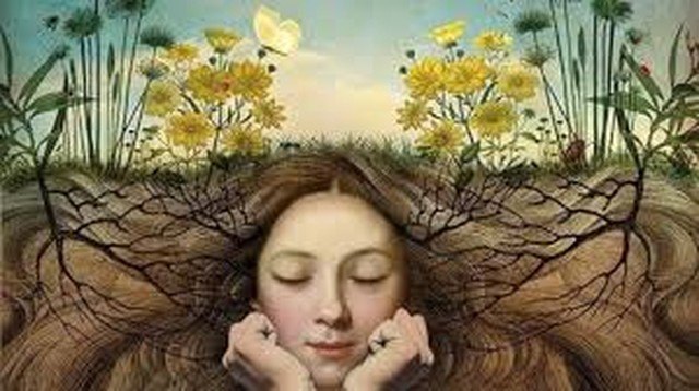 Si no te gusta lo que cosechas, analiza y cambia lo que siembras - 1, Foto 1