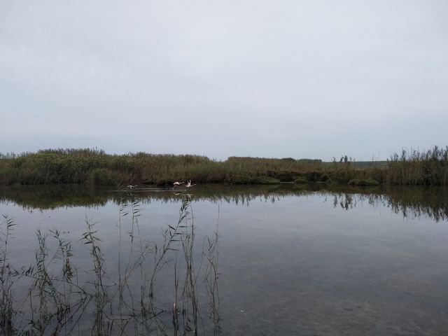 Conservación de los humedales - 1, Foto 1