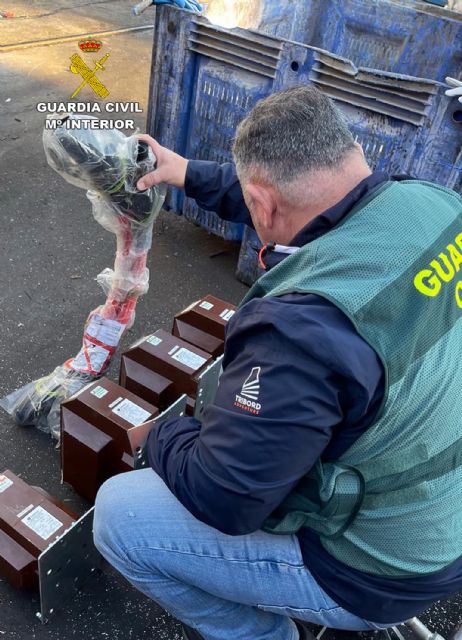 La Guardia Civil desmantela un grupo delictivo dedicado a la sustracción de transformadores agrícolas - 4, Foto 4