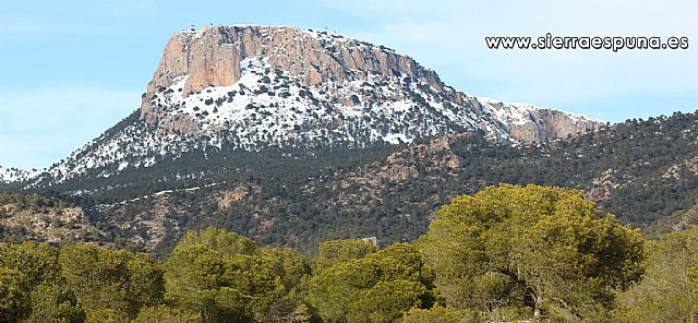 La Mancomunidad de Sierra Espuña expone sus nuevos productos turísticos en FITUR - 1, Foto 1