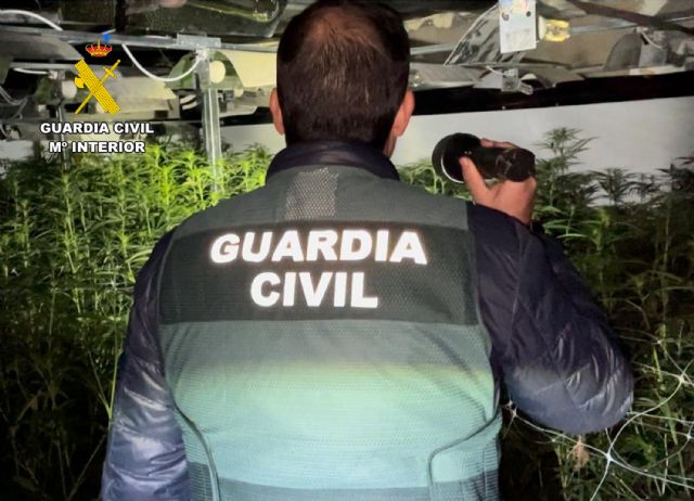 La Guardia Civil desmantela en Jumilla un invernadero con mil plantas de marihuana - 1, Foto 1