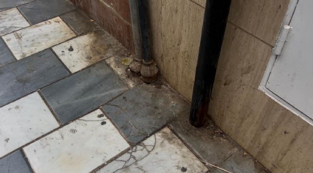 El PSOE exige a Fulgencio Gil una intervención urgente de limpieza y mantenimiento en la Avenida Portugal - 2, Foto 2