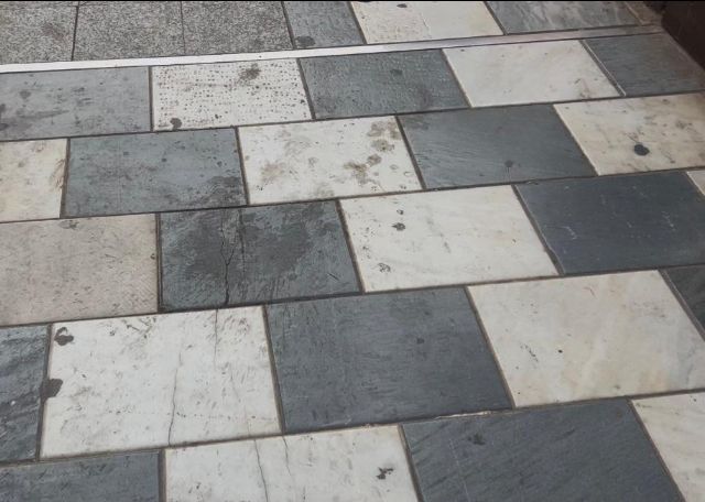 El PSOE exige a Fulgencio Gil una intervención urgente de limpieza y mantenimiento en la Avenida Portugal - 3, Foto 3