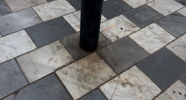 El PSOE exige a Fulgencio Gil una intervención urgente de limpieza y mantenimiento en la Avenida Portugal - 5, Foto 5