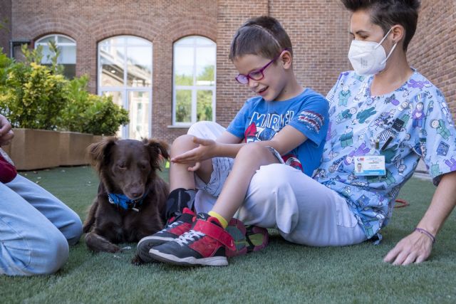 El poder de los perros en la lucha contra el Cáncer: transformando vidas con terapias asistidas - 1, Foto 1