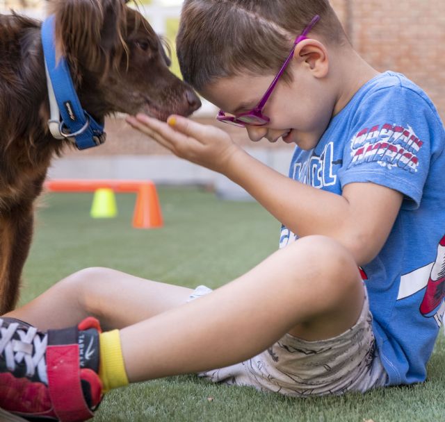 El poder de los perros en la lucha contra el Cáncer: transformando vidas con terapias asistidas - 2, Foto 2
