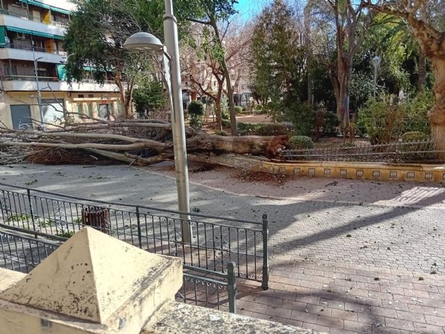 Policía Local, Guardia Civil y Bomberos atienden medio centenar de incidencias durante el temporal de viento - 2, Foto 2