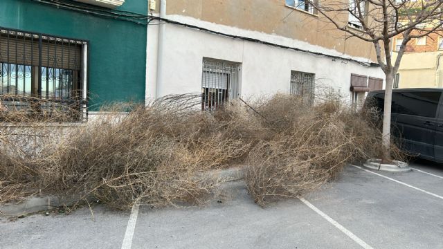 Policía Local, Guardia Civil y Bomberos atienden medio centenar de incidencias durante el temporal de viento - 5, Foto 5