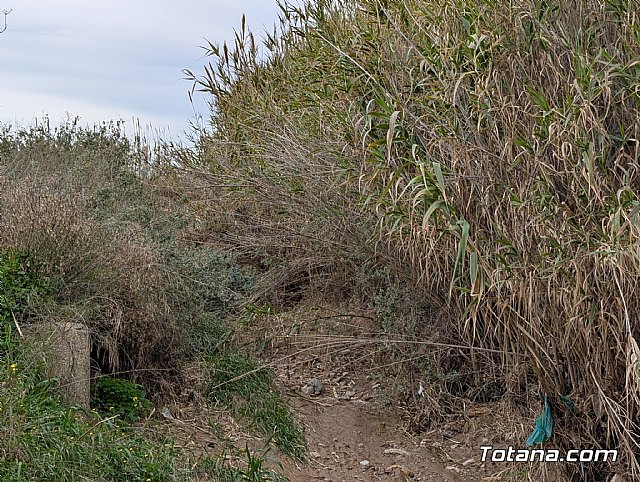 VOX exige la construcción inmediata de tanques de tormenta en Totana y denuncia la “estafa” política que asfixia al sector agrario, Foto 8