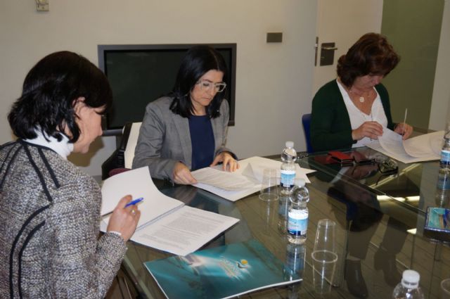 Cuatro empresas optan al proyecto de puesta en valor del Santuario de la Ãnsula II del Foro Romano - 3, Foto 3