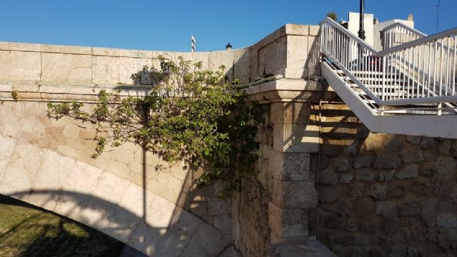 El PSOE solicita la limpieza del tramo urbano del río Guadalentín a su paso por Lorca y el adecentamiento del entorno de la Pasarela de cara a Semana Santa - 2, Foto 2