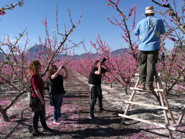 La Comunidad promociona la floración de Cieza - 1, Foto 1