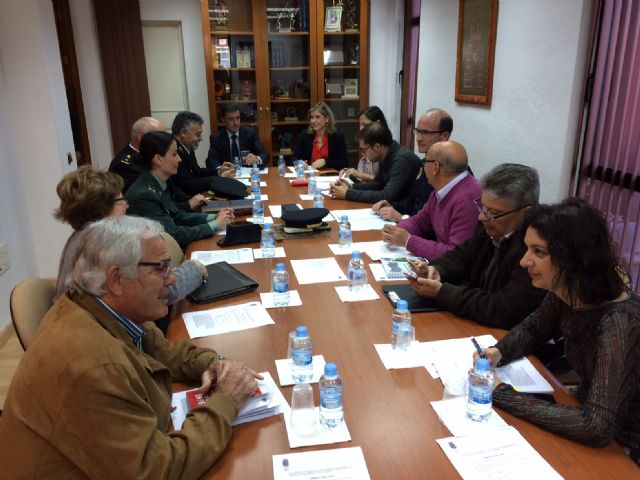 La Junta Local de Seguridad Ciudadana de Molina de Segura hace un balance positivo de la situación durante el último año en el municipio - 2, Foto 2