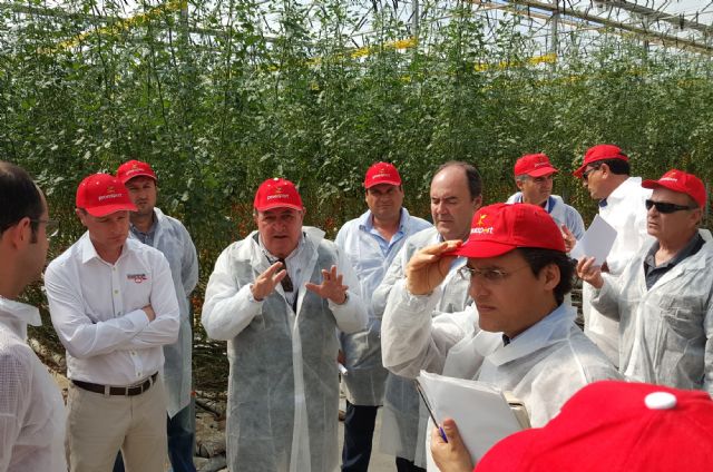 Proexport muestra al Ministerio invernaderos de tomate para promover la competitividad del sector murciano - 2, Foto 2