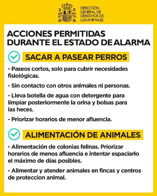 ¿Puedo alimentar a los gatos ferales en plena epidemia? - 1, Foto 1