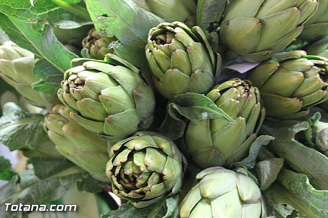 Foto: archivo, Foto 1