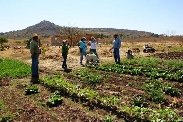 Unión de Uniones pide a Trabajo que tenga en cuenta la particularidad del sector agrario y retire la obligatoriedad de transformar contratos temporales en fijos - 1, Foto 1