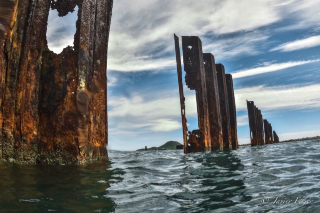 Tablestacas del puerto deterioradas por la corrosión marina. (J. Ferrer/ANSE)., Foto 1