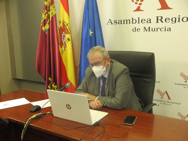 El presidente de la Asamblea Regional se reúne, por videoconferencia, con asociaciones de pacientes de encefalomielitis miálgica - 1, Foto 1