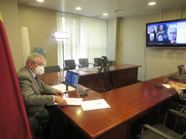El presidente de la Asamblea Regional se reúne, por videoconferencia, con asociaciones de pacientes de encefalomielitis miálgica - 2, Foto 2
