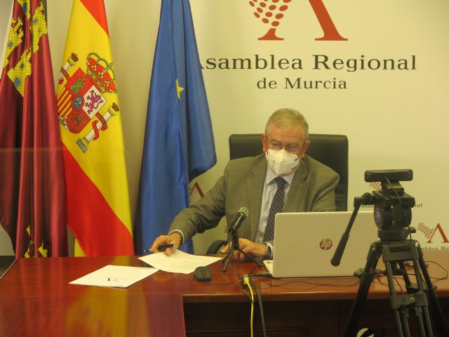 El presidente de la Asamblea Regional se reúne, por videoconferencia, con asociaciones de pacientes de encefalomielitis miálgica - 3, Foto 3