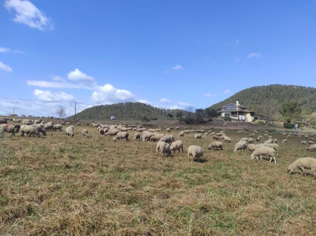 Unión de Uniones considera que las ayudas aprobadas no satisfacen ni a agricultores ni a ganaderos - 1, Foto 1