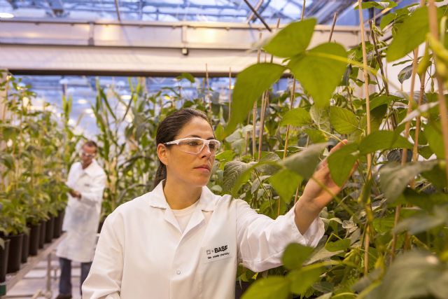 BASF presenta su cartera de innovaciones con soluciones que permiten acelerar la transformación de la agricultura - 1, Foto 1