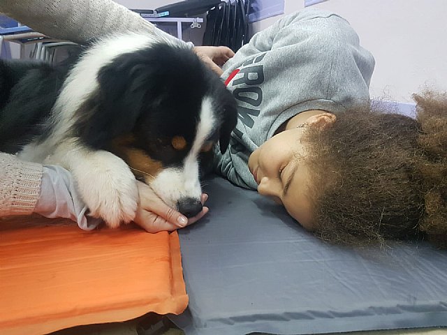 Los perros de intervención, aliados en la lucha contra el autismo - 1, Foto 1
