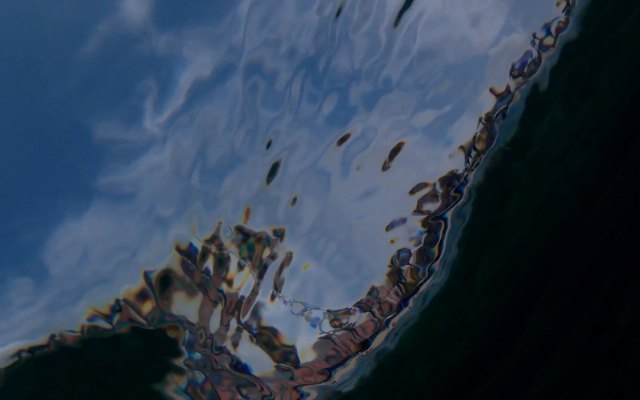 La Fundación Daniel y Nina Carasso abre la quinta edición de la convocatoria Componer saberes - 1, Foto 1