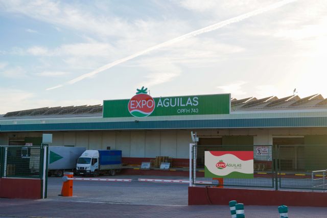 ExpoÁguilas renueva su imagen corporativa y estrena web y redes sociales - 4, Foto 4