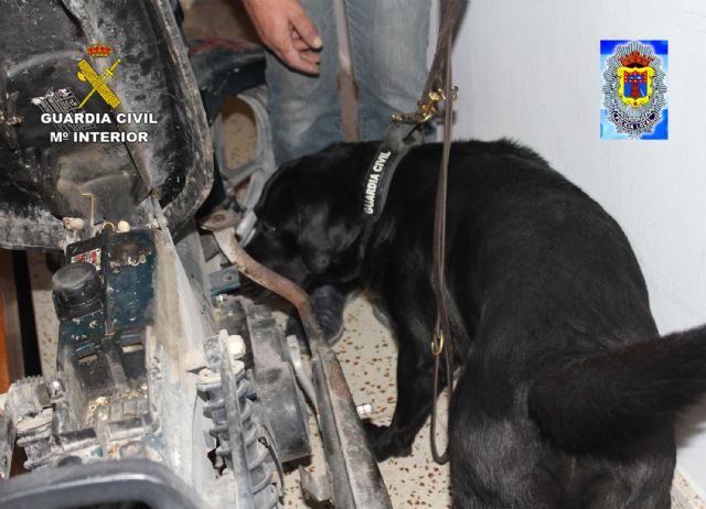 Desmantelado un punto de venta de droga en Moratalla - 1, Foto 1