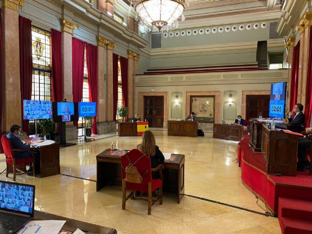 El Pleno municipal aprueba la mayoría de mociones por unanimidad para continuar mejorando la atención social durante la crisis del COVID-19 - 1, Foto 1